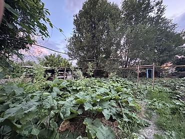 Продажа коттеджей и домов: 3 комнаты, 115 м², 7 соток, Бишкек — 11