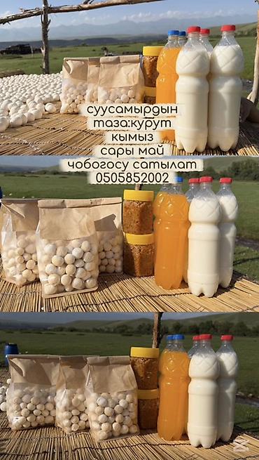 алоэ бишкек: Курут 
Сары май 
Кымыз 
Чобого — 1