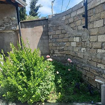 Torpaq sahələrinin satışı: 100 sot, Tikinti, Mülkiyyətçi, Kupça (Çıxarış) — 3