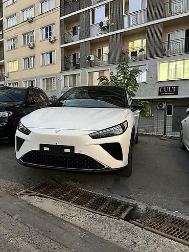 hozon: Hozon Neta L: 2024 г., 1.5 л, Автомат, Электромобиль, Кроссовер — 10