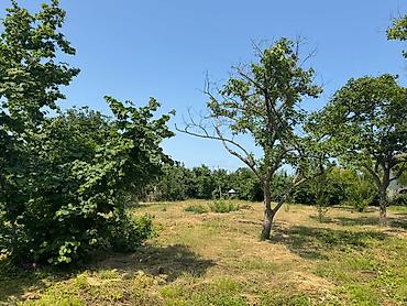 midada ev satilir: 12 sot, Tikinti, Mülkiyyətçi, Kupça (Çıxarış) — 5