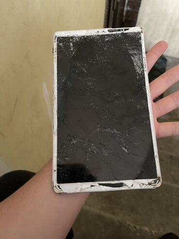 Apple iPhone: IPhone 16 Pro Max