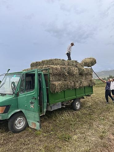ман 8 180: Грузовик, Mercedes-Benz, Стандарт, 3 т, Б/у — 1