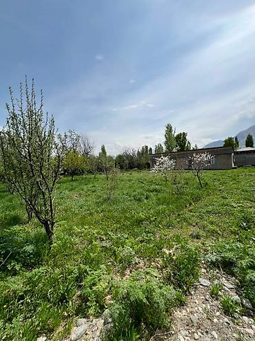 Продажа участков: 13 соток, Красная книга, Договор купли-продажи — 9