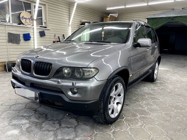 BMW: BMW X5: 2005 г., 3 л, Автомат, Дизель, Кроссовер