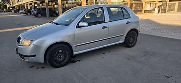 Skoda: Škoda Fabia, srebrna, 5 vrata, registracija KU009-CC. Hečbek — 6