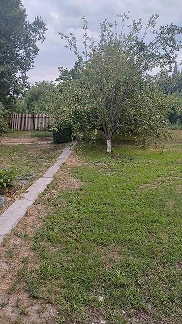 слив пантери из котеджа: 6 соток — 1