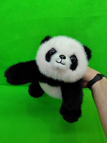 Игрушки: Кошка и панда мягкие игрушки оригинал в ассортименте🔥 Комплектация — 4