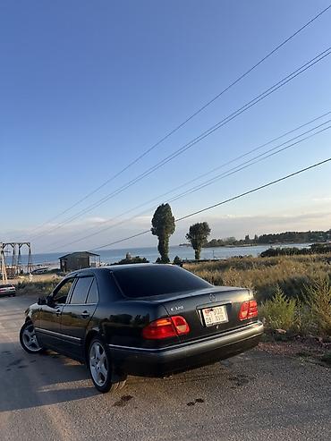 320: Mercedes-Benz E-Class: 1997 г., 3.2 л, Автомат, Бензин, Седан — 6