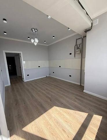 район пишпек квартиры: 1 комната, 42 м², Пишпек Элитка, 12 этаж, Евроремонт — 2