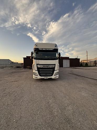 меховые накидки: Тягач, DAF, Шторный — 1