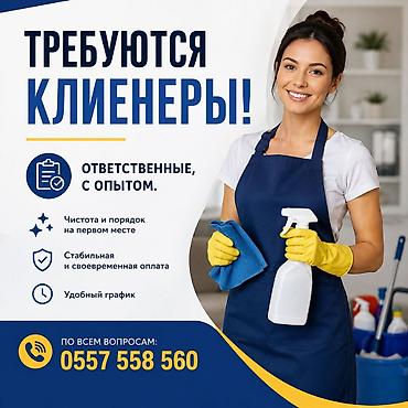 Требуется Уборщик, Квартира, График: Гибкий график, Полный рабочий день