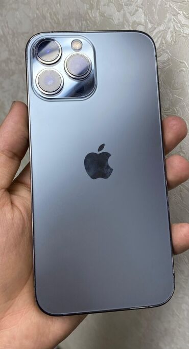 Apple iPhone: IPhone 13 Pro Max, 256 GB