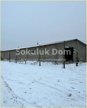 продажа котеджи: 🏠Продаются птицеферма и кошара в с. Сокулук, от трассы 1 км 🟡Участок