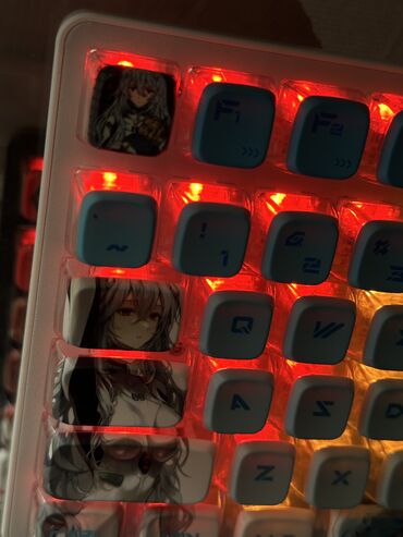 Клавиатуры: Клавиатура, Механическая, Проводное подключение, Размер: 100% — 15