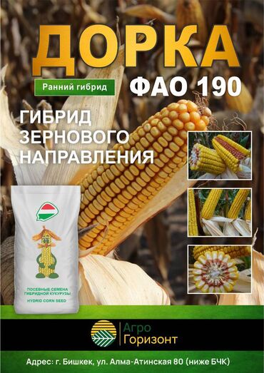семена кукуруза пионер: Семена: Кукуруза, Самовывоз