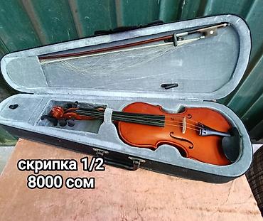 музык: Продаю скрипку размер 1/2 для 5-7 класса Продаю баян советский Торг — 1