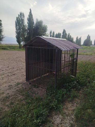 будка большой машына: Комплект автозапчастей - Корпуса наружных зеркал заднего вида (2 — 1