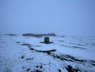 Сельхоз предприятия: Чон кашар сатылат срочно, Талас облусуна караштуу Келба айылында Кызыл