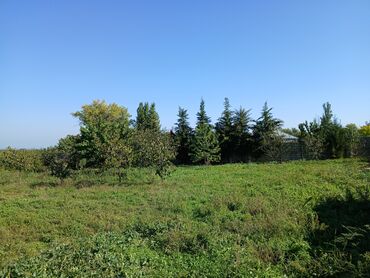 купить дом в баку хырдалан: 20 соток, Для строительства, Собственник, Купчая