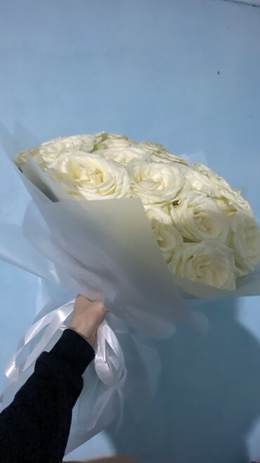 белые розы: 41шт белый роза