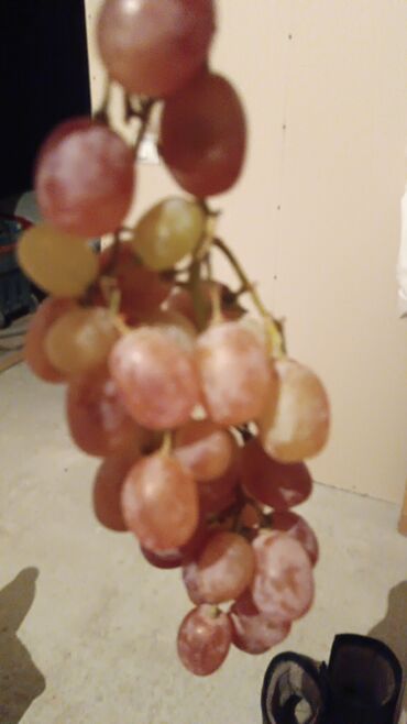 снять однокомнатную квартиру на месяц: 2 комнаты, Собственник, С мебелью частично