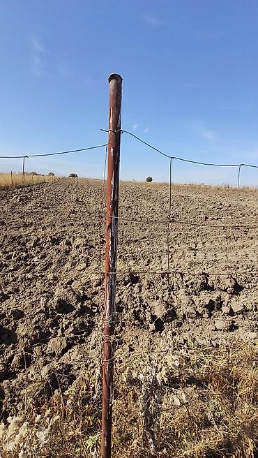 сарай участок: 263 соток, Для сельского хозяйства, Договор купли-продажи — 2