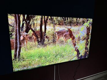 Телевизоры: Телевизор Yasin 75 Яркий 75 дюймовый дисплей Yasin 75M8G порадует at lalafo.kg — 13 Телевизоры: Телевизор Yasin 75 Яркий 75 дюймовый дисплей Yasin 75M8G порадует — 13