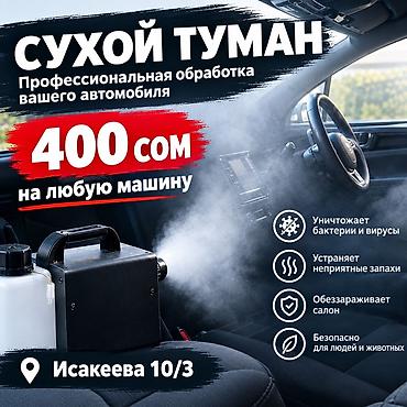 Сухой туман — профессиональная обработка салона автомобиля. Что