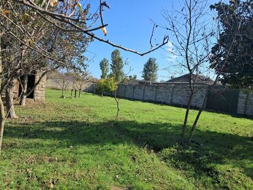 Bağ evlərinin satışı: Xaçmaz, 2 kv. m, 1 otaqlı, Hovuzsuz, Qaz, Su, İşıq — 16