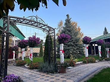 Уборка территории: Уборка территории, Стрижка газона — 9