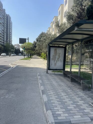 İnformatika: Şəhər mühitində avtobus dayanacağı. Dayanacaq, sərnişinləri günəşdən