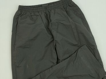 król lew koszulka: Everest, Spodnie dresowe dla mężczyzn, rozmiar S