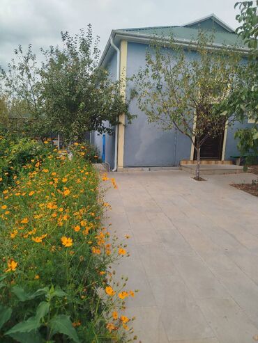 Günlük kirayə evlər: 100 kv. m, 4 otaqlı — 25