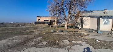 Продажа участков: 23000 соток, Для строительства, Красная книга — 3