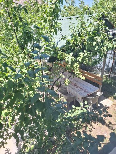 Günlük kirayə evlər: 100 kv. m, 4 otaqlı — 23