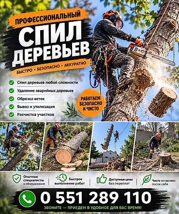 Клининговые услуги: Уборка территории, Уход за деревьями — 1