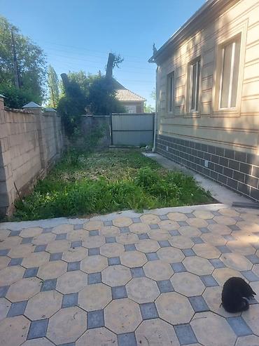 Продажа коттеджей и домов: Продается дом село Полтавка 38сотых угловой баня сарай гараж баары — 10