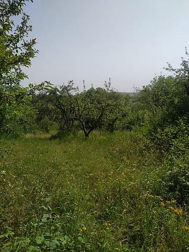 samaxi: 18 sot, Mülkiyyətçi, Kupça (Çıxarış) — 7