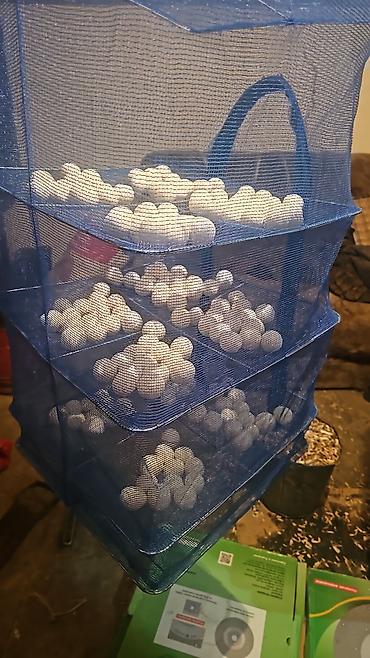 Сухофрукты, орехи, снеки: Накта курут сатылат — 3