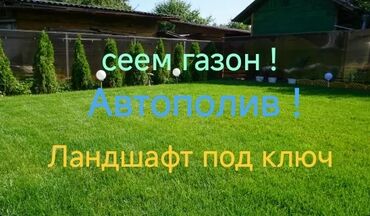 зеленый урюк: Автополив газона + Ландшафтный дизайн Ваш участок всегда зелёный и