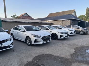 Kia: Предлагаются автомобили Hyundai Sonata и Kia K5. Обе модели