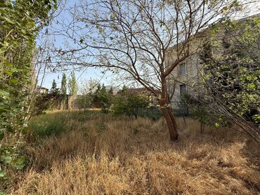 Həyət evləri və villaların satışı: 6 otaqlı, 460 kv. m, Kredit yoxdur, Təmirsiz — 23