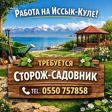 Требуется сторож садовник, на Иссык-Куль. Север. Кормить и гулять с at lalafo.kg Требуется сторож садовник, на Иссык-Куль. Север. Кормить и гулять с