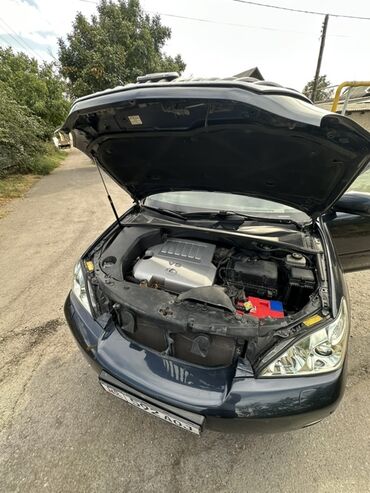 Lexus: Lexus RX: 2008 г., 3.5 л, Автомат, Бензин, Кроссовер — 7