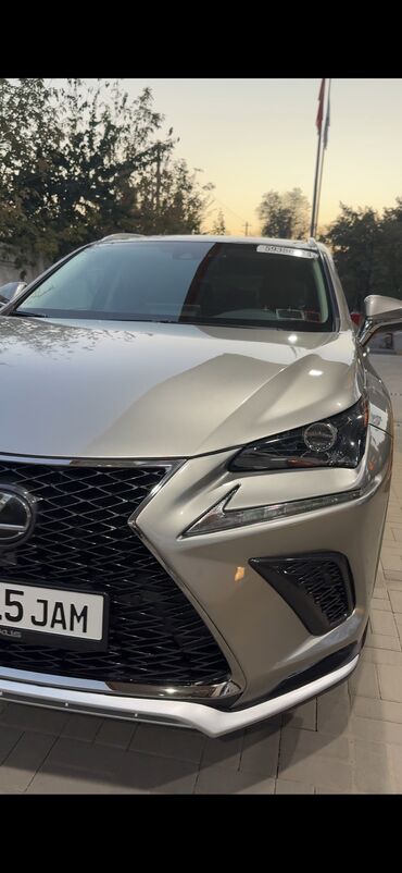 Lexus: Lexus NX: 2018 г., 0.2 - engine capacity л, Автомат, Бензин, Кроссовер