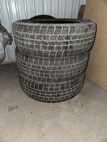 зимние шины 185 60 15: Шины 185 / 60 / R 15, Зима, Япония, Dunlop