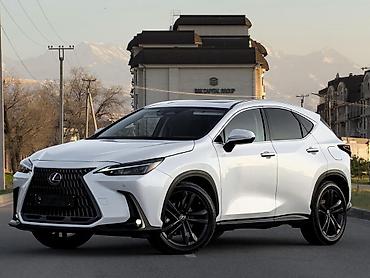 спойлер нехсия: Lexus NX: 2023 г., 2.5 л, Автомат, Кроссовер — 3