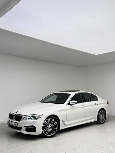 BMW 530: 2019 г., 2 л, Автомат, Бензин, Седан