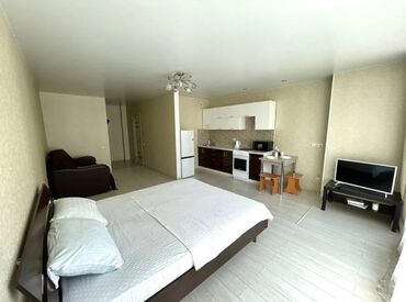 квартира бишкек в месяц: 1 комната, Собственник, С мебелью полностью